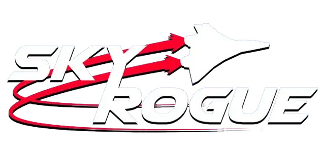 天空随机战 | Sky Rogue | 好玩