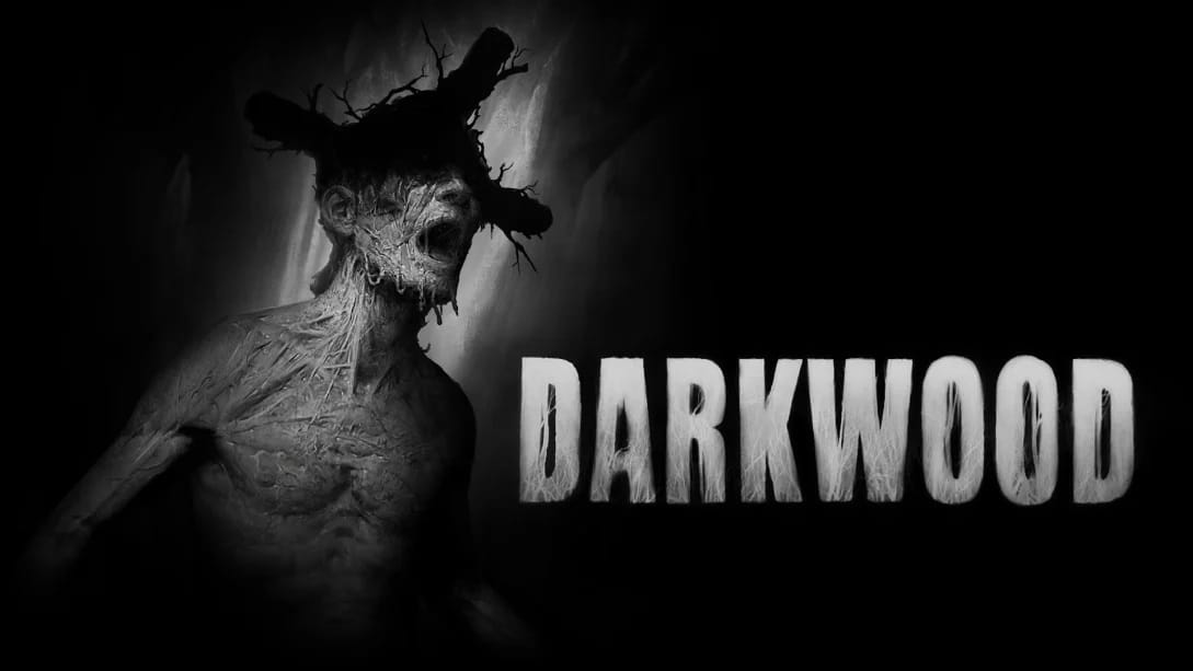 黑暗森林 -Darkwood -游戏封面-好玩客