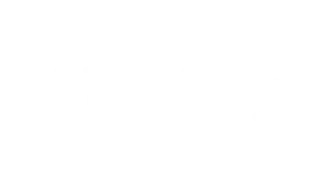 鸟的故事  | A Bird Story