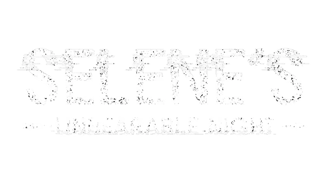 瑟琳的受苦之夜 | Selene’s Unbearable Night | PC游戏 | 中文 | 百度网盘