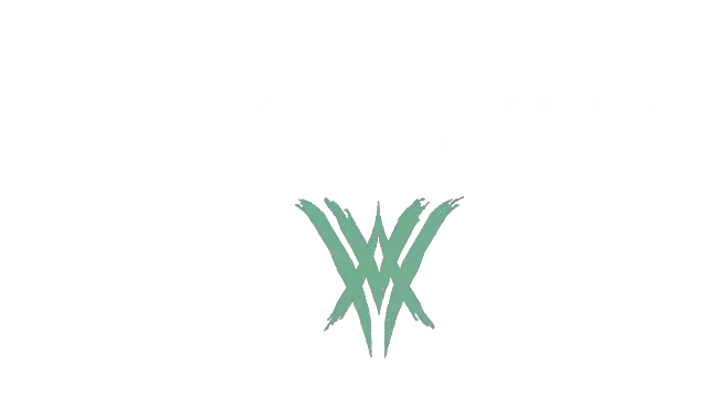 命运 2：邪姬魅影 | Destiny 2: The Witch Queen