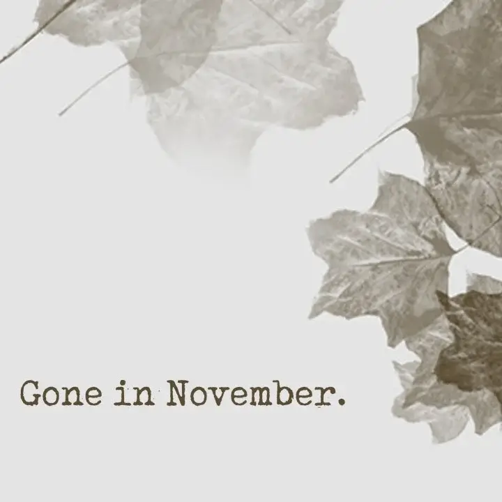 在十一月离去 | Gone In November