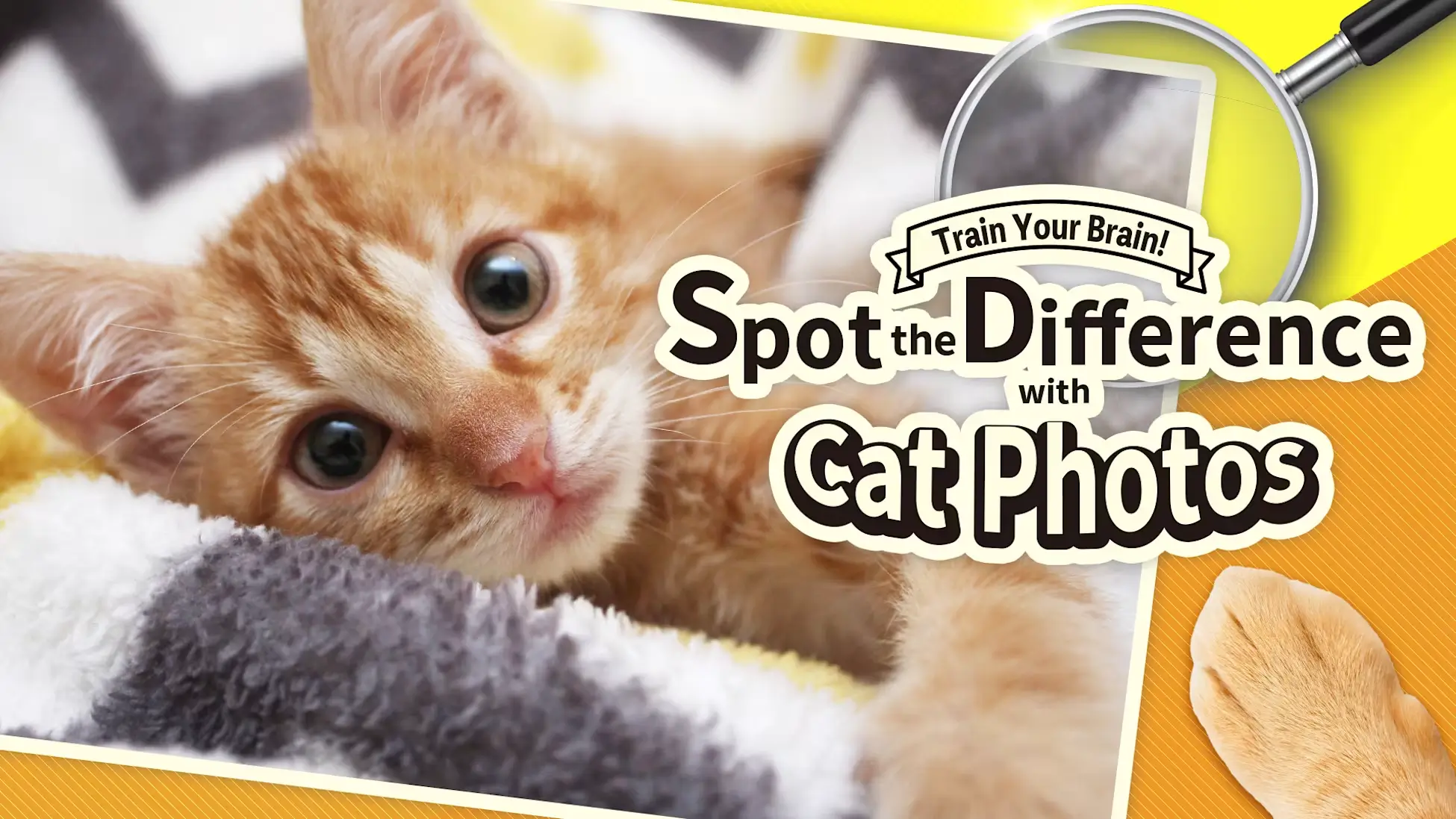 锻炼你的大脑！在猫猫照片中找出异同-Train Your Brain! Spot the Difference with Cat Photos-游戏封面-好玩客