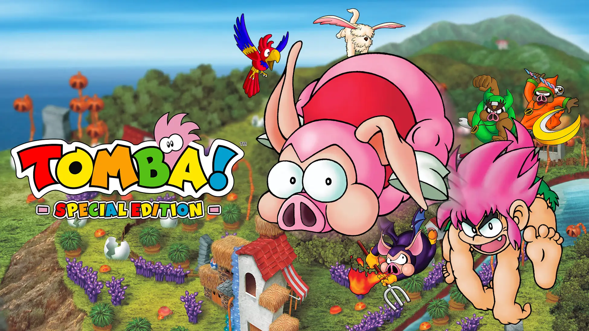 我是东巴：特别版-Tomba! Special Edition-游戏封面-好玩客